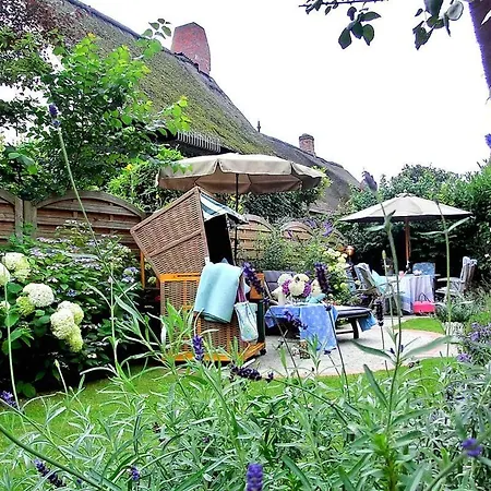 Lavendelhaus 別荘 Oevenum