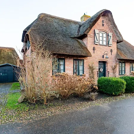 Dom wakacyjny Lavendelhaus Oevenum