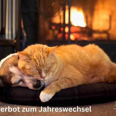 別荘 Lavendelhaus Oevenum