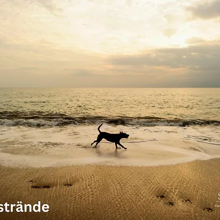 別荘 Lavendelhaus Oevenum