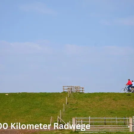 別荘 Lavendelhaus Oevenum